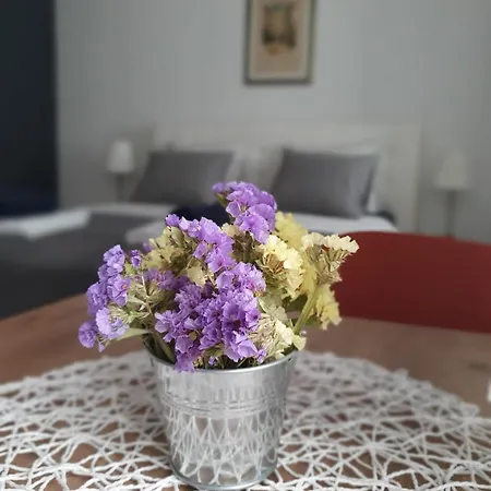 Homestay Art Gallery *
